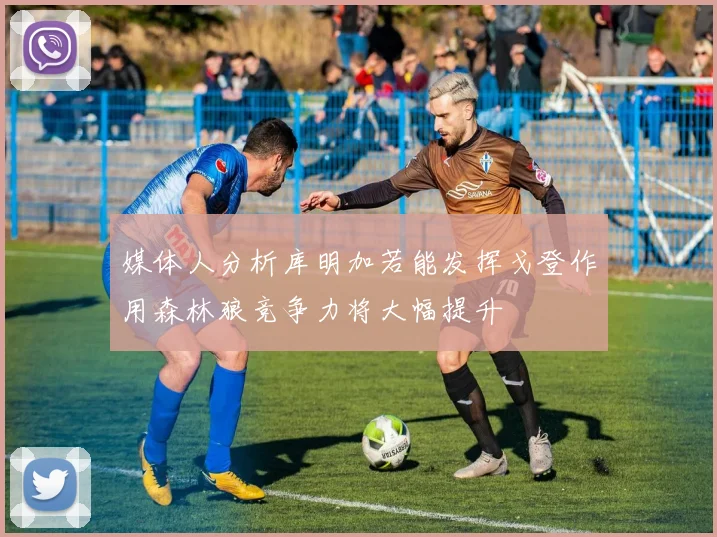 媒体人分析库明加若能发挥戈登作用森林狼竞争力将大幅提升